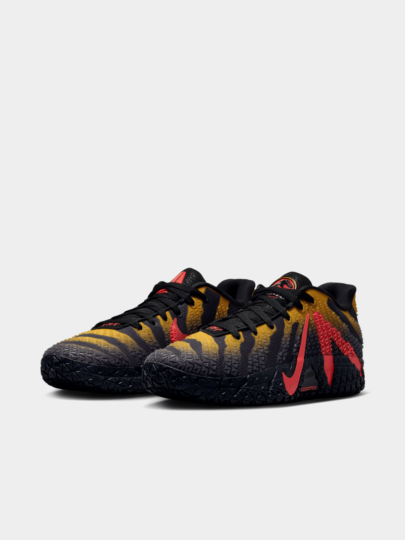 JA 3 Raptors