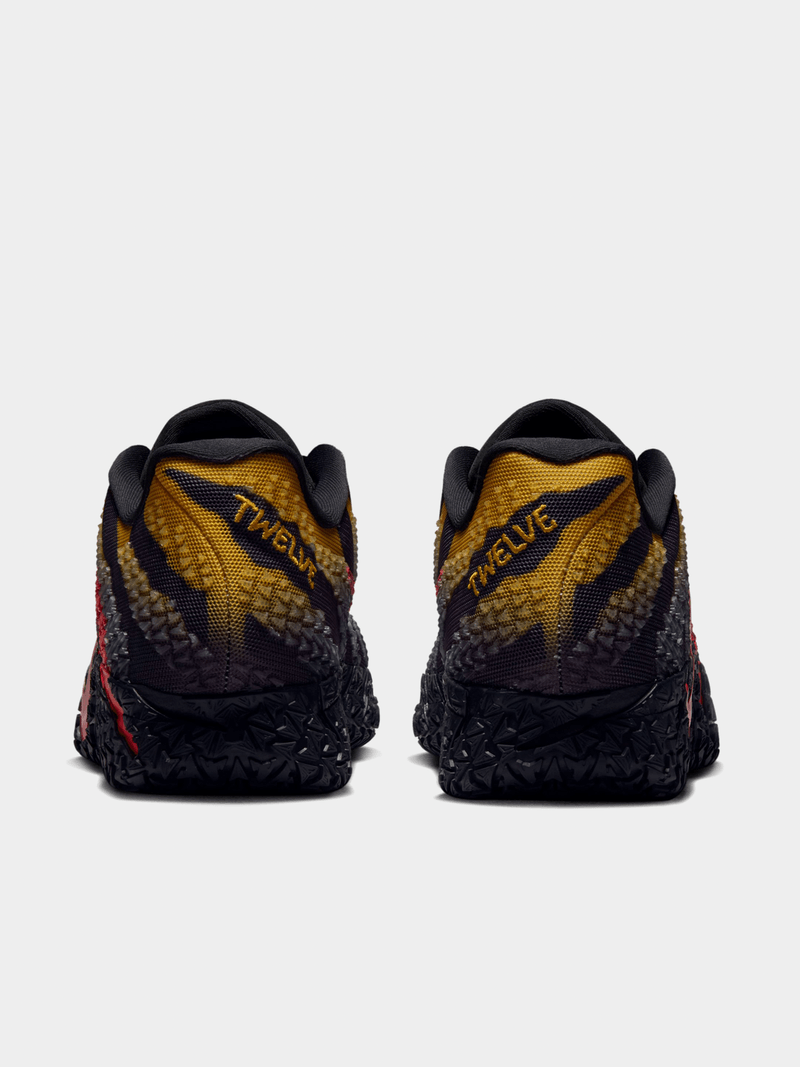 JA 3 Raptors